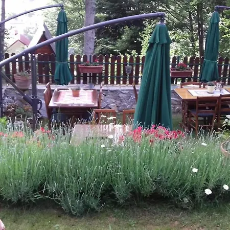 B&B Restaurant And - T'ga Za Jug